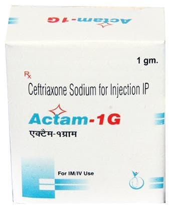 Actam 1gm Injection