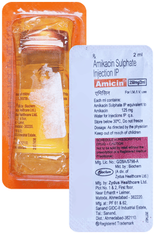 Amicin 250mg Injection