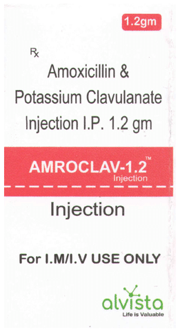 Amroclav 1.2 Injection