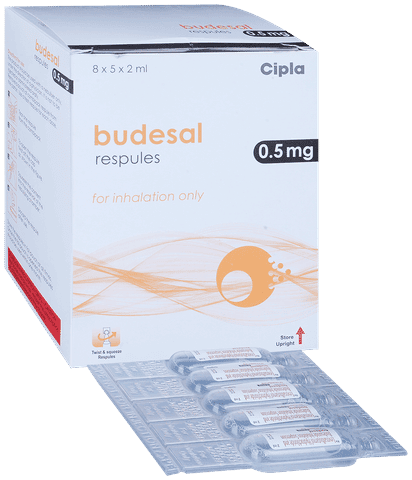 BUDEsal 0.5mg Respules 2ml