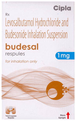 BUDEsal 1mg Respule 2ml