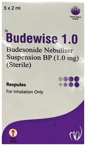 Budewise 1.0 Respule (2ml Each)