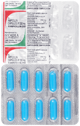 Campicillin 250 Capsule