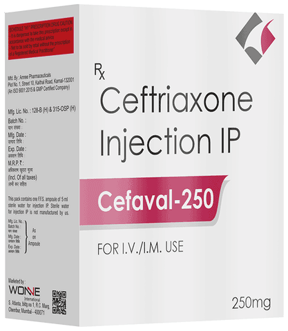 Cefaval 250 Injection
