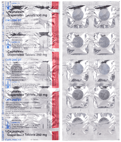 Ceff 250mg Tablet DT