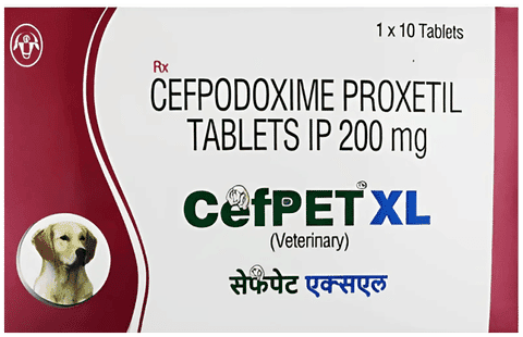 CefPET XL 200mg Tablet