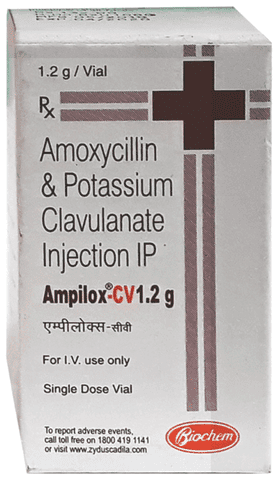 Ampilox CV 1000 mg/200 mg Injection