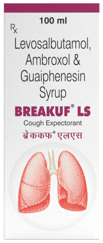 Breakuf LS Syrup
