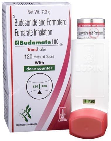 budaMATE 100 Transhaler