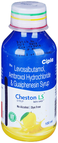 Cheston LS Syrup Mango No Alcohol,Dye Free and Sugar Free